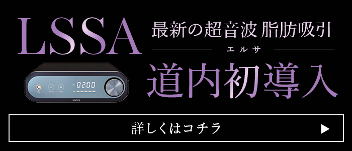 脂肪吸引エルサ導入