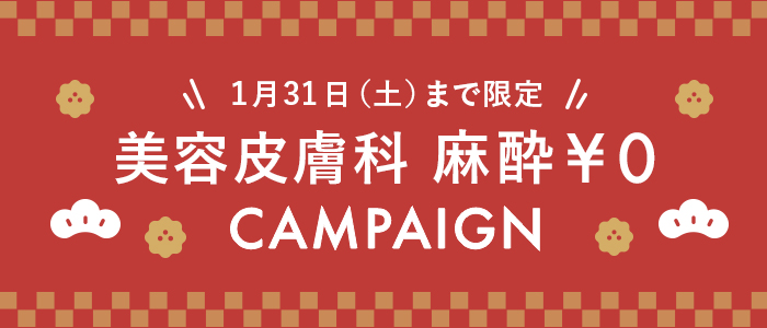 1月キャンペーン